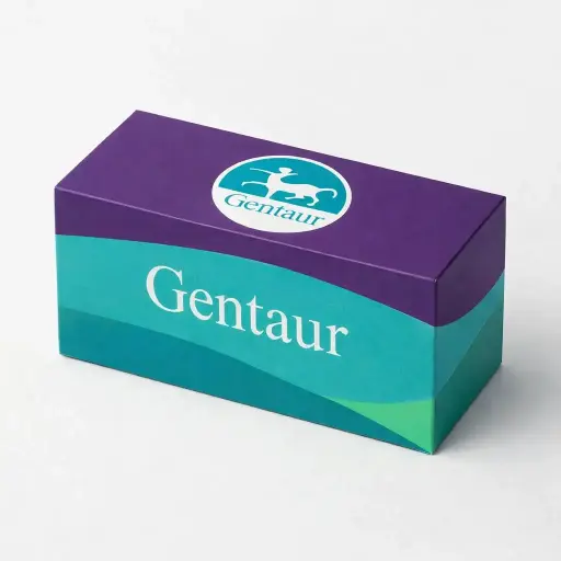 [304961] P/P007/NL290/RFLBD-600X400-1 Prohibited Activity Signs (No Adhesive)